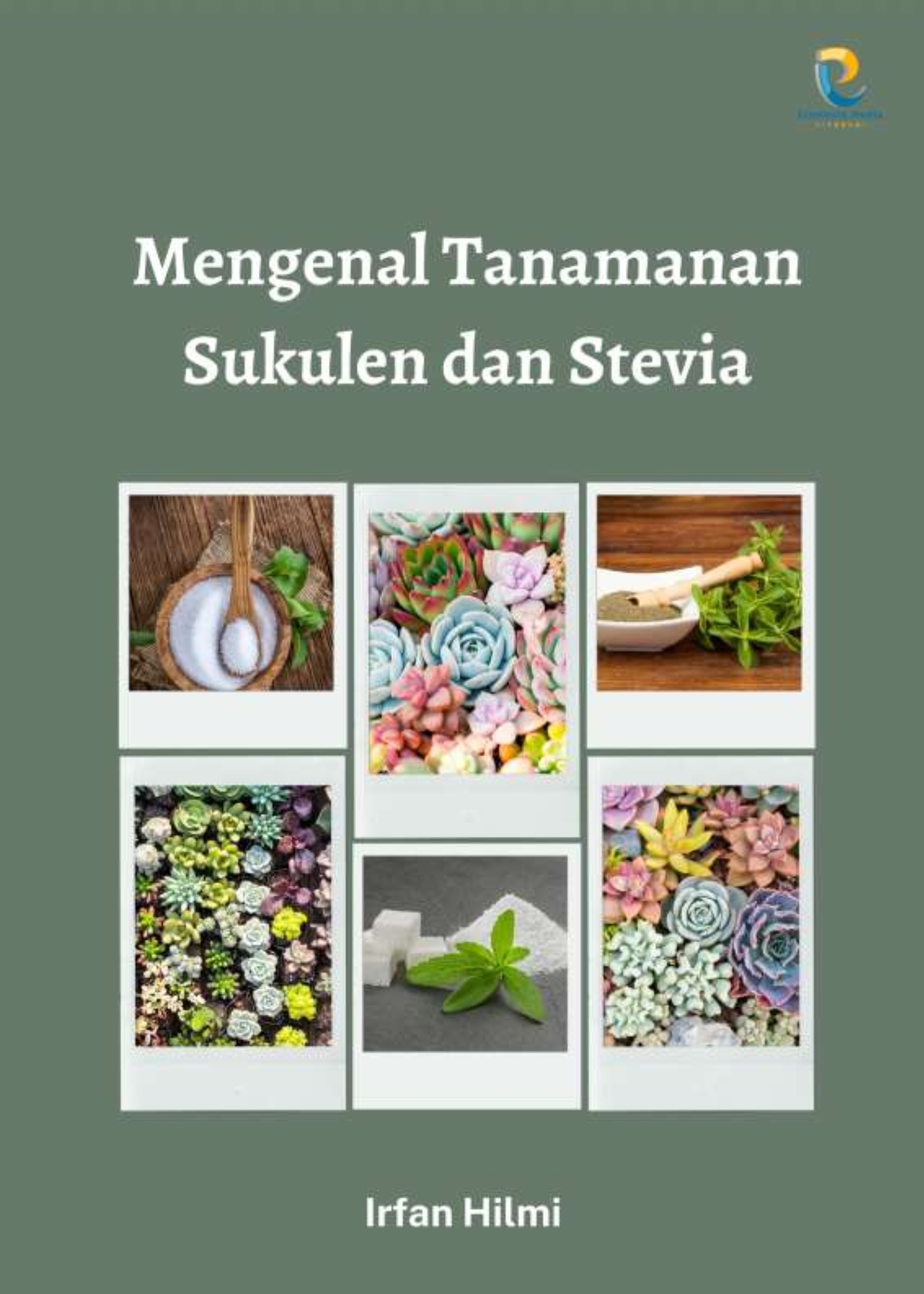 Mengenal Tanamanan Sukulen dan Stevia